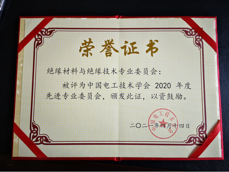 絕緣材料與絕緣技術(shù)專業(yè)委會(huì)被評(píng)為“中國電工技術(shù)學(xué)會(huì)2020年度先進(jìn)專業(yè)委員會(huì)”